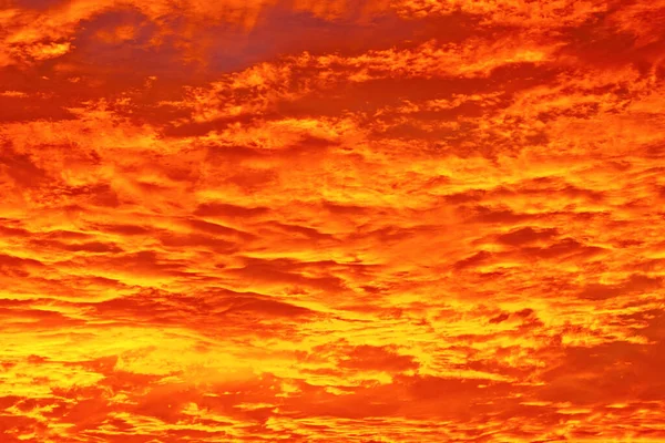 Закат Оранжевым Небом — стоковое фото