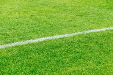 futbol sahası çimeni arkaplanı