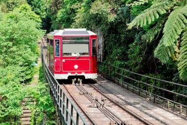 Tropikal ormanda kırmızı tramvay