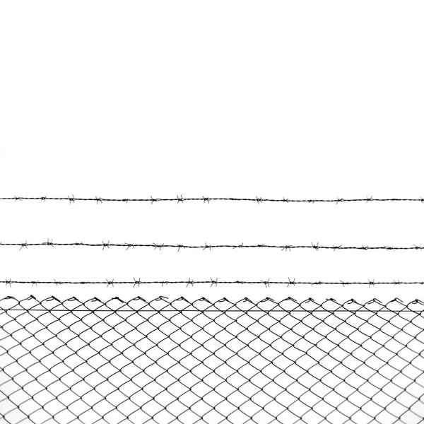 白色玉米地上的铁丝网栅栏 — 图库照片