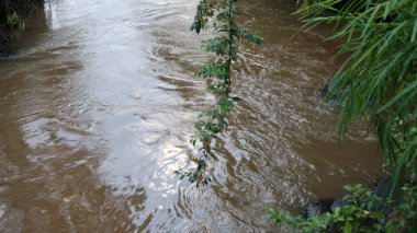 vadiden doğa elemanı