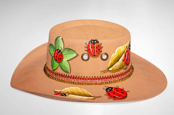 Vacker Och Färgglad Handmålad Mexikansk Hatt — Stockfoto
