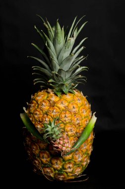 Kollarında küçük bir ananas tutuyordu.