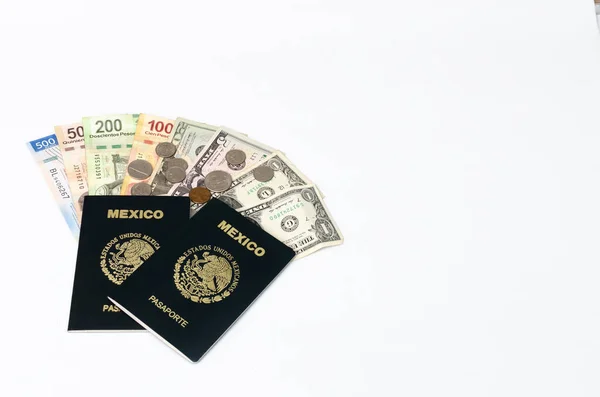 Pasaportes Mexicanos Dinero Sobre Fondo Blanco Dólares Pesos Mexicanos — Foto de Stock