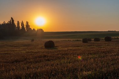 Gün doğumunda tarlada saman yığınları