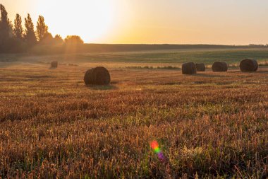 Gün doğumunda tarlada saman yığınları