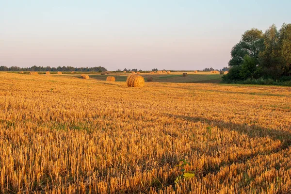 Haystacks Dans Champ Lever Soleil — Photo