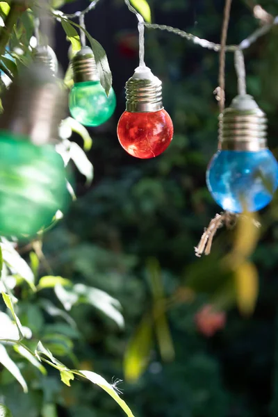 colored light bulbs garland in the garden