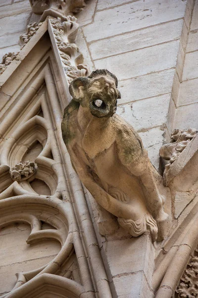 Gargoyle Facade Jean Cathedral Also Known Primatiale Saint Jean Baptiste — Stock Photo, Image