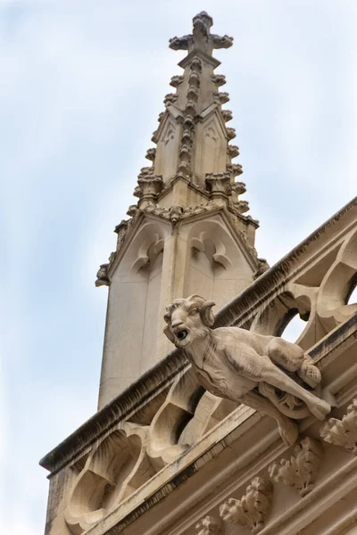 Gárgola Fachada Catedral San Juan También Conocida Como Primatiale Saint — Foto de Stock