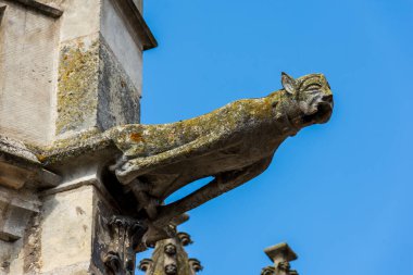 Saint-Pierre Kilisesi 'nin ön cephesinde Gargoyle, Gotik stilin tarihi anıtı, Dreux, Fransa