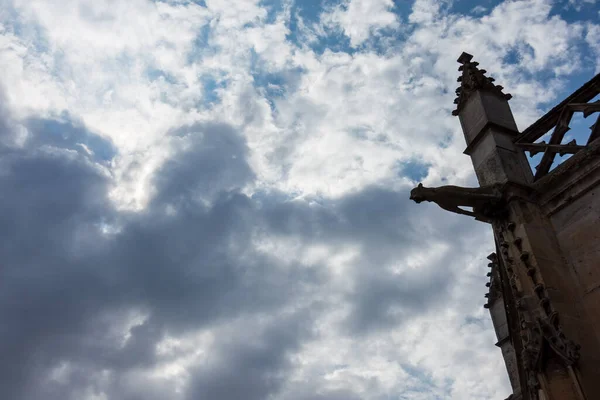 Gargoyle Gevel Van Saint Pierre Kerk Historisch Monument Gotische Stijl — Stockfoto