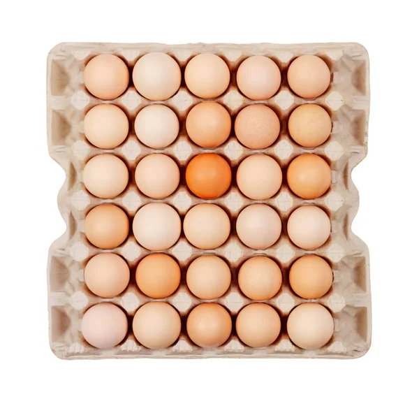 Eggs Carton Boxes Laying Isolated White Background Top View Close — Stock Photo, Image