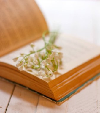 Lily vadi buket üzerinde beyaz bir vintage tablo, sığ derinlik-in tarla açık bir eski kitap