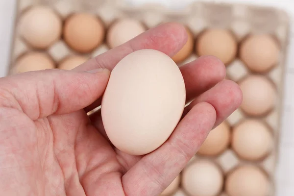 Raw Egg Male Palms Background Carton Eggs Closeup — Stock Photo, Image