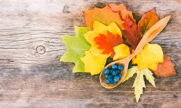Natürmort parlak sonbahar yaprakları ve karaçalı çilek bir tahta kaşık bir eski ahşap budaklı kırık tahtası üzerinde metin için yer ile Üstten Görünüm