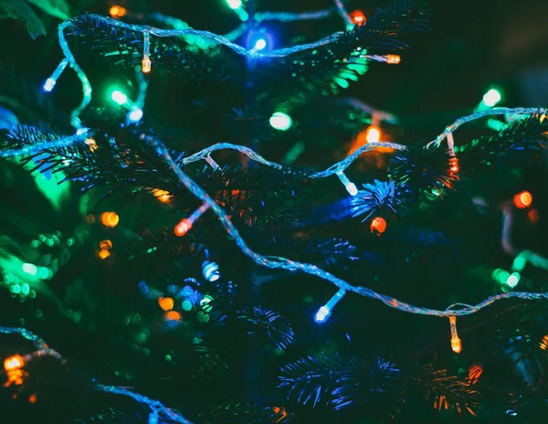 Veelkleurige Kerstverlichting Nieuwjaar Boom — Stockfoto