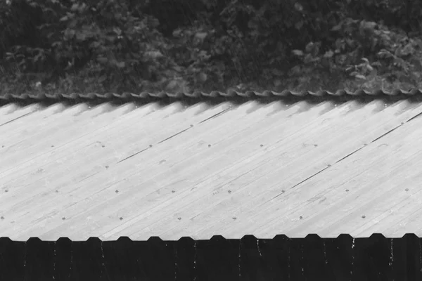 Krople Deszczu Dach Metalowy Letni Dzień Zdjęcie Czarno Białe — Zdjęcie stockowe