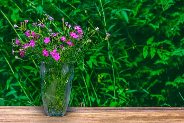 Bouquet Carnations Glass Vase Green Natural Background Copy Space — Stock Photo, Image