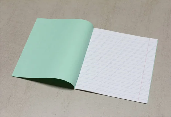 öğrenci yarıyıl Not defteri için öğrenme yazım, bir bölü çizgisi ile dar bir çizgi sahte kopya alanı üzerinde gri bir arka plan ile aç