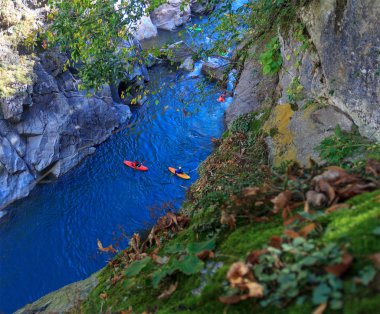 sportsmans, turistler Kano nehirde yüzen bir grup