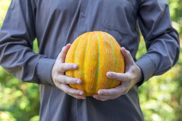 the man is holding a ripe yellow melon