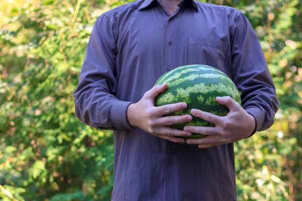 Man Holding Large Ripe Watermelon — Stock Photo, Image