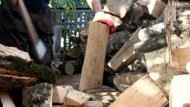 Man Chopping Wood Axe Autumn Day — Stock Video