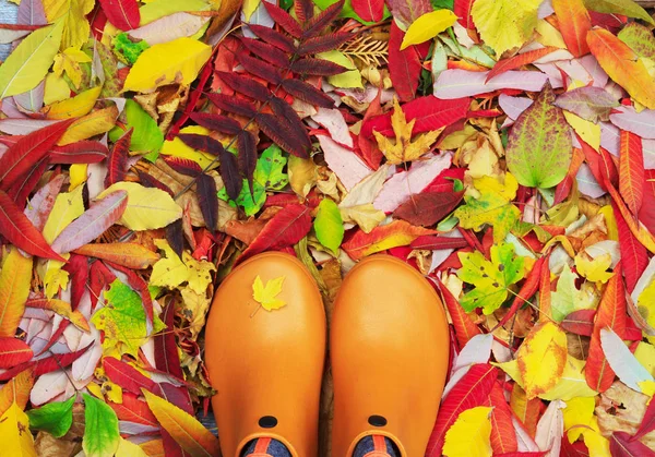 秋紅葉の背景にオレンジ色のゴム長靴のペア — ストック写真