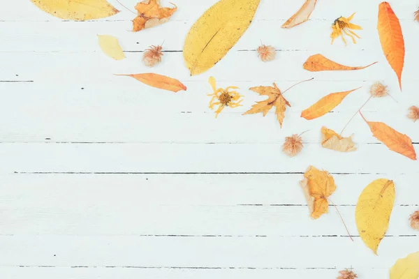 秋の組成物 白い木製の背景に黄色い秋乾燥製フレームを残します コピー スペース フラット横たわっていた トップ ビュー — ストック写真