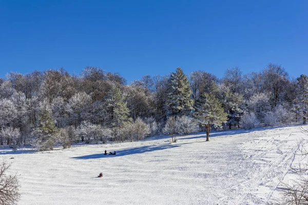 在冬日里 带着孩子的游客乘坐充气雪橇在雪坡上 — 图库照片