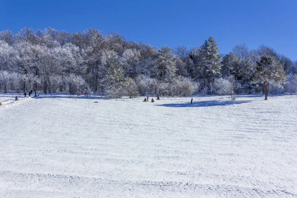 在冬日里 带着孩子的游客乘坐充气雪橇在雪坡上 — 图库照片