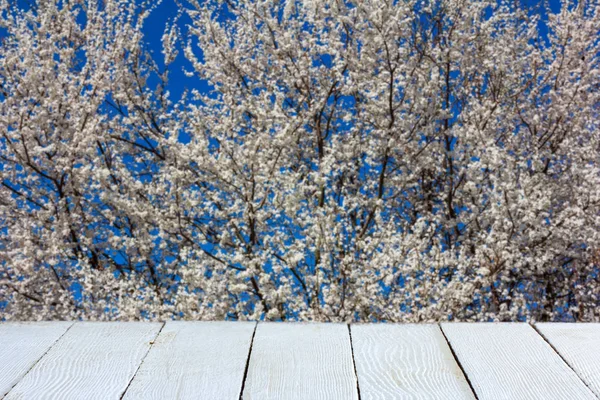 春の背景に花木 製品表示の白い木製の板 — ストック写真