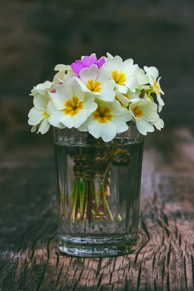 Bouquet de fleurs d'onagre dans un gobelet en verre sur un vieux fond vintage en bois — Photo