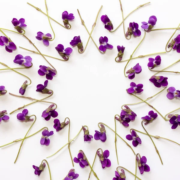 Maquette Fond Avec Des Fleurs Violettes Sur Fond Blanc Avec — Photo