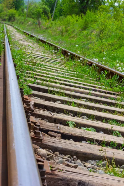 Rails Ferroviaires Avec Traverses Bois Perspective Inhabituelle — Photo