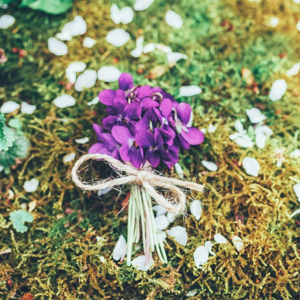 コケの背景にスミレの森の花のヴィンテージブーケ トップビュー — ストック写真