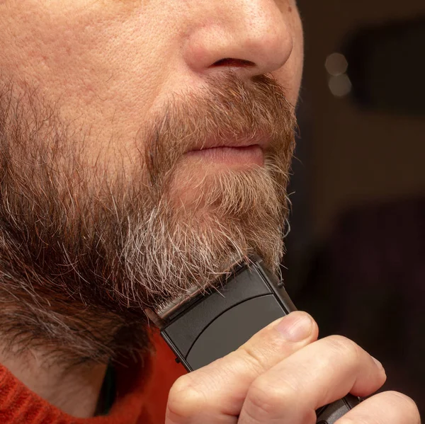 a man cuts his gray beard trimmer close-up