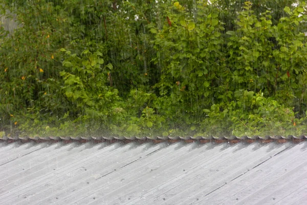 緑の葉と金属屋根を打つ小さな雹を背景に夏の雨 — ストック写真