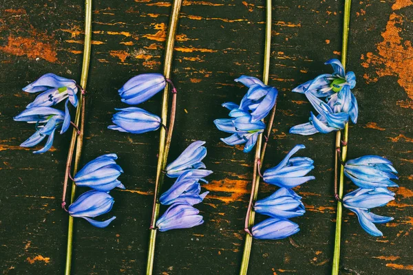 レトロなグランジ木製の背景トップビューで花ブルーベルのパターン フラットレイ — ストック写真