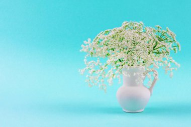 kopya alanı ile mavi pastel arka plan yakın çekim beyaz sürahi küçük narin beyaz mürver çiçeği çiçek buketi