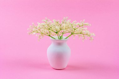 pembe pastel arka plan yakın çekim üzerinde beyaz bir sürahi mürver küçük narin beyaz çiçek buketi