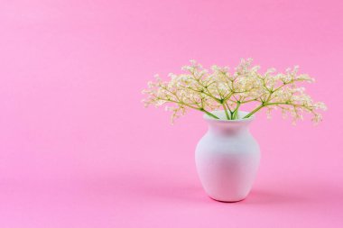 kopya alanı ile pastel pembe arka plan üzerinde beyaz bir sürahi beyaz mürver çiçekleri küçük bir hassas buket