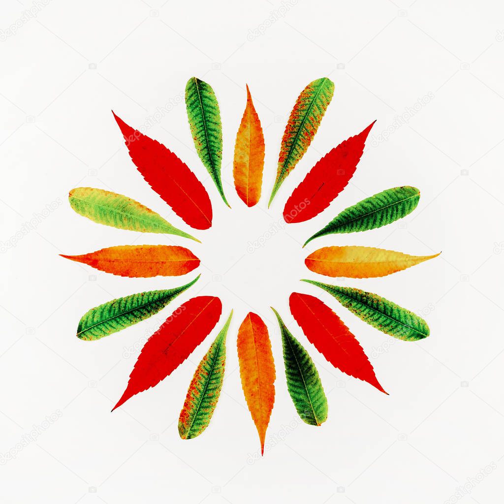 round frame in a pattern of colorful autumn leaves with copy space, top view flat lay