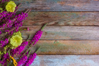 kopya alanı ile ahşap Retro arka planda loosestrife ve Tansy çiçekler dalları çiçeklenme şifalı otlar