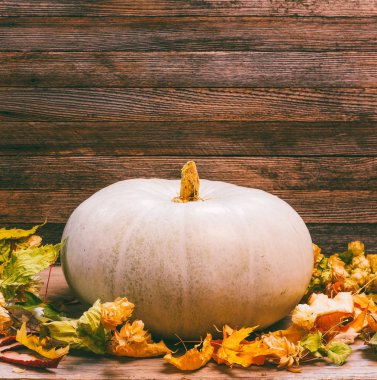 metin closeup için alan ile ahşap arka plan üzerinde kabak ve kuru yaprakları ile sonbahar natürmort