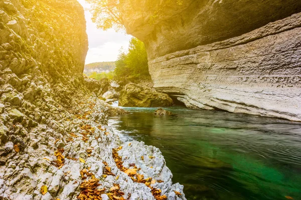 Landscape with a stone coast with dry fallen leaves and sunlight in a canyon of a mountain river with green emerald water