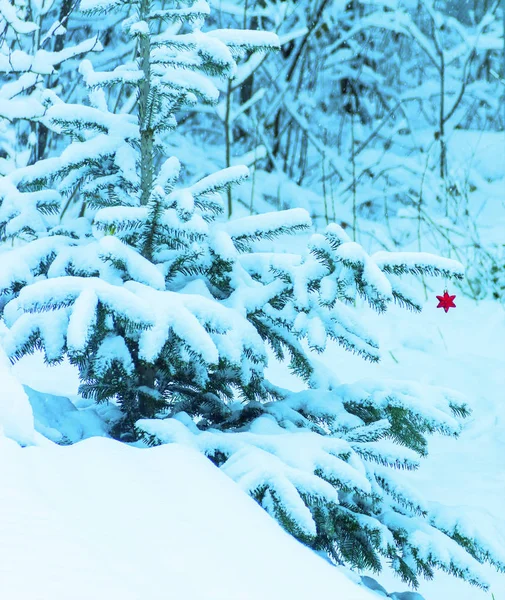 Paisaje Invierno Con Árbol Navidad Nieve Decoración Del Árbol Navidad —  Fotos de Stock