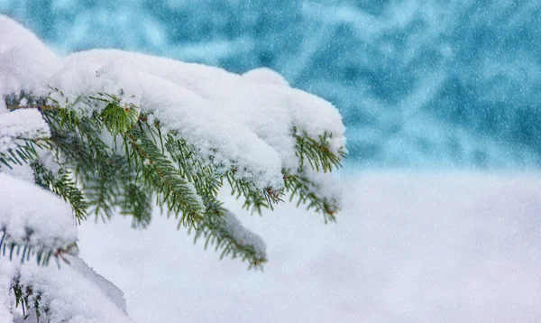 Vinter Jul Bakgrund Bakgrund Med Snötäckta Grenar Julgran Med Kopieringsutrymme — Stockfoto