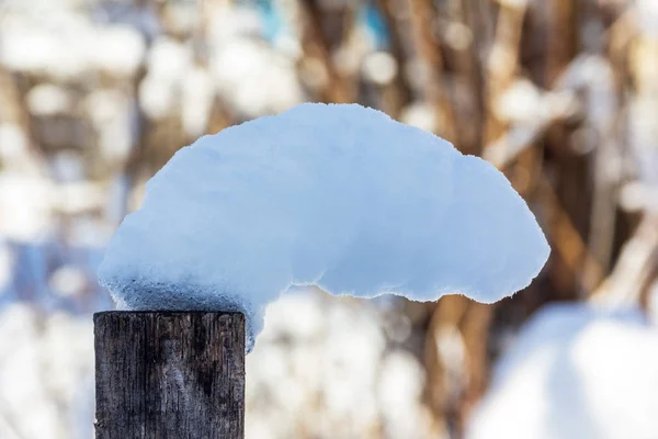 Smält Snö Drift Träpinne Vinter Solig Dag — Stockfoto